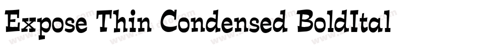 Expose Thin Condensed BoldItalic字体转换